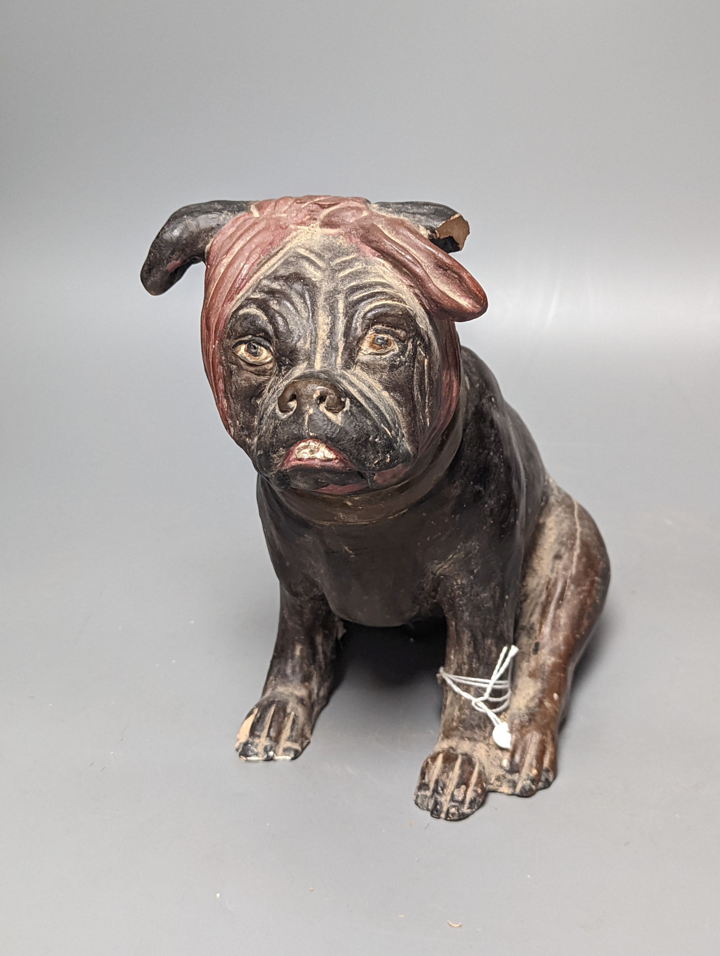 An Austrian cold painted terracotta model of a dog wearing a bandana, 21.5cm high